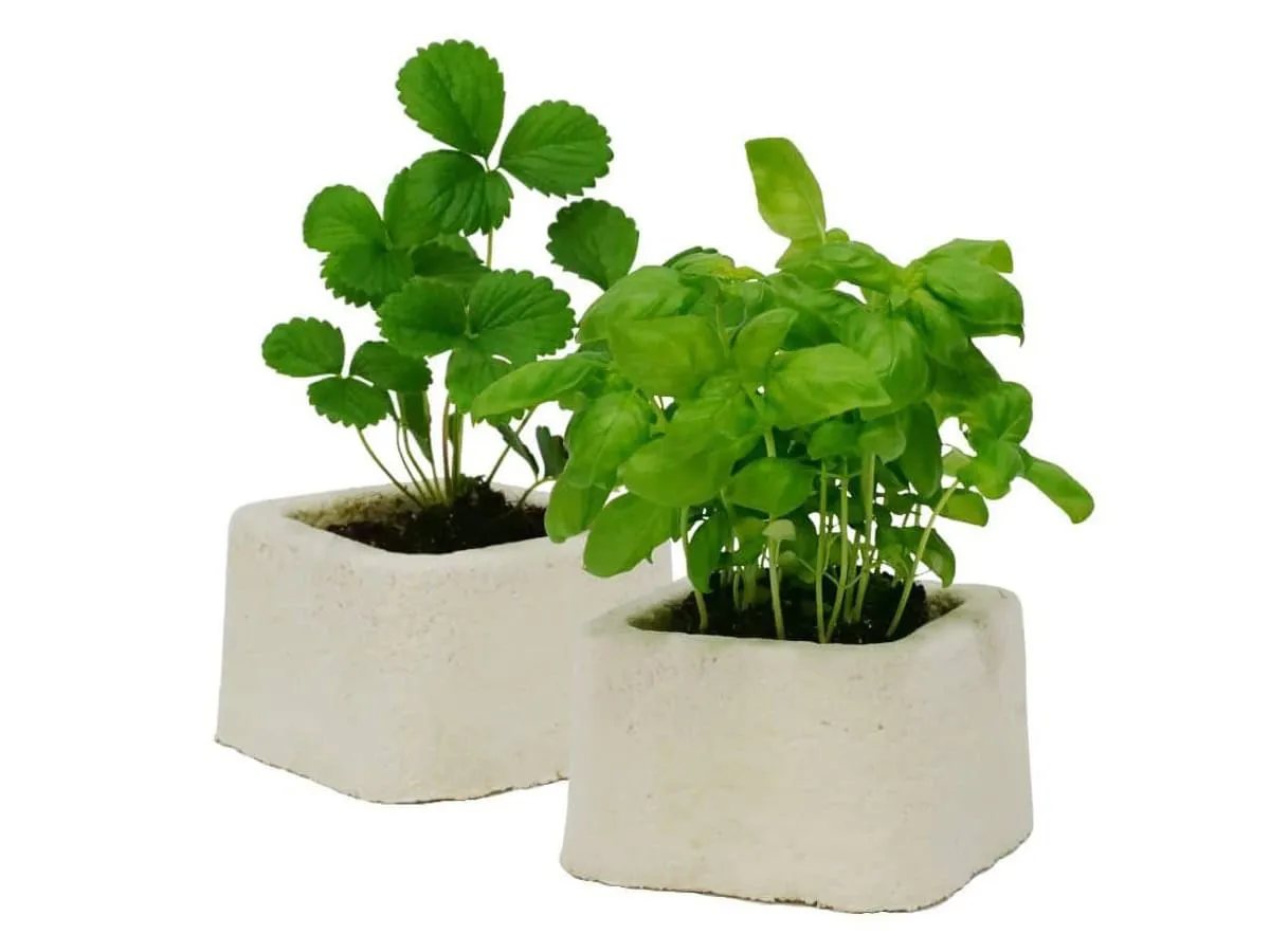 Mycelium Outdoor Planter
