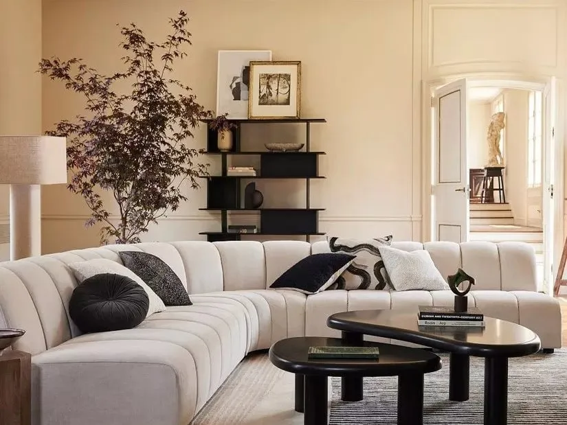 Black designer bookcase