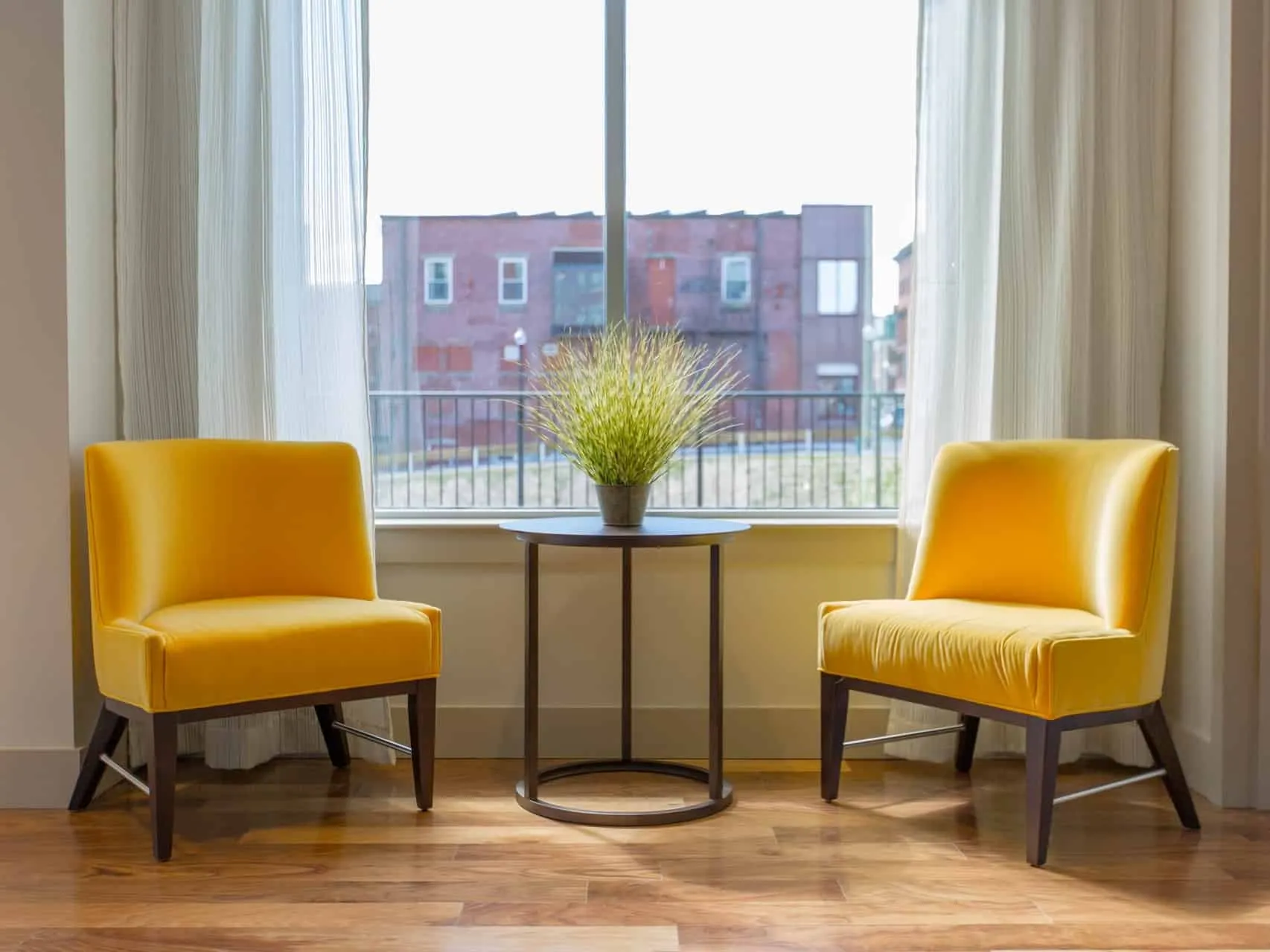 two chairs and plant creating a focal point by the window