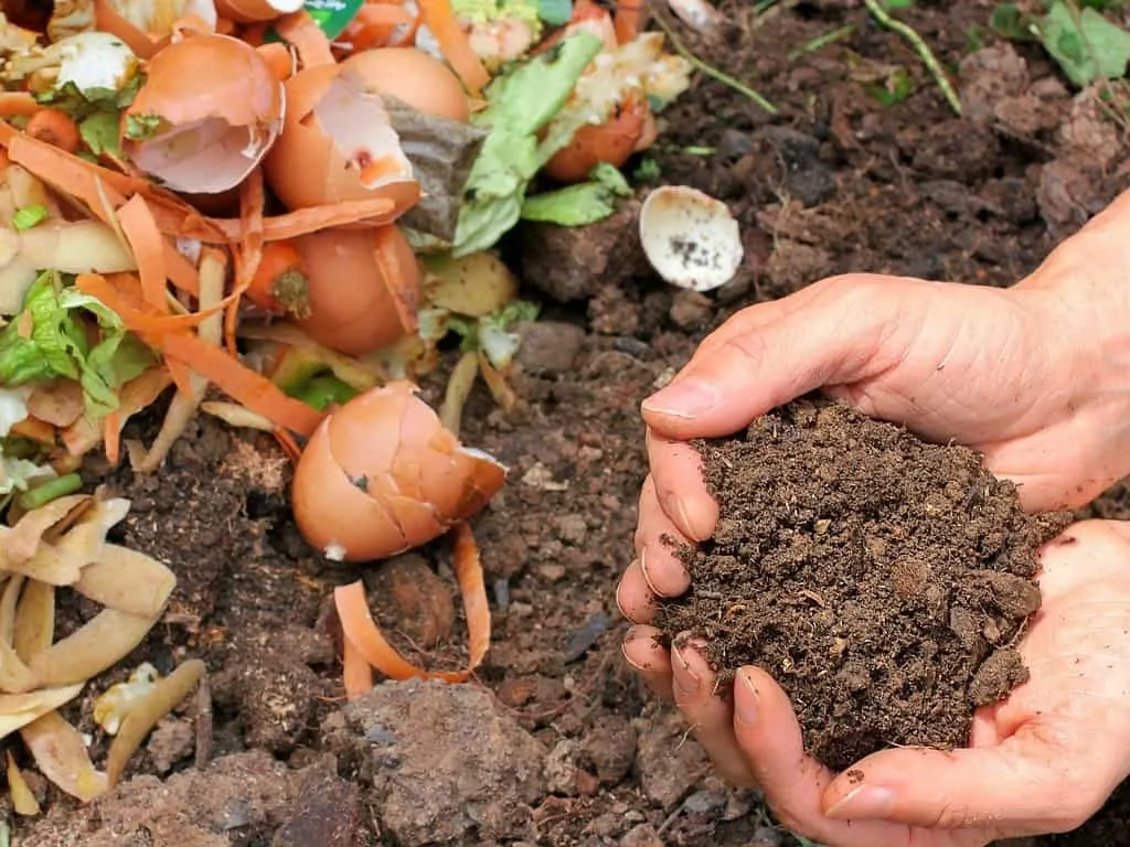 Compost