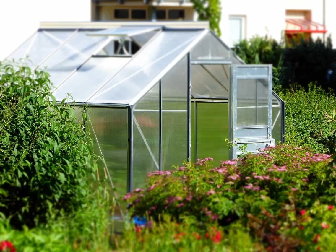 Greenhouse