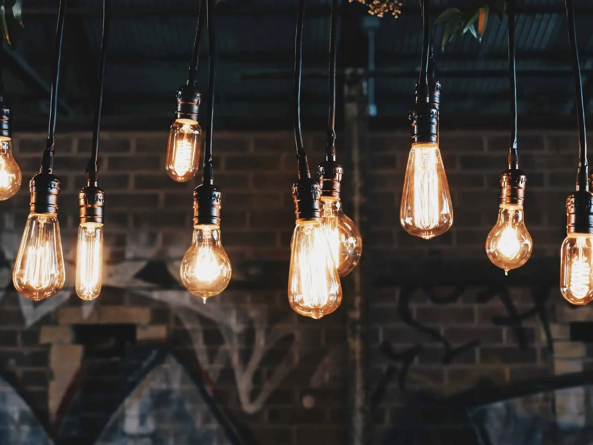 hanging light bulbs