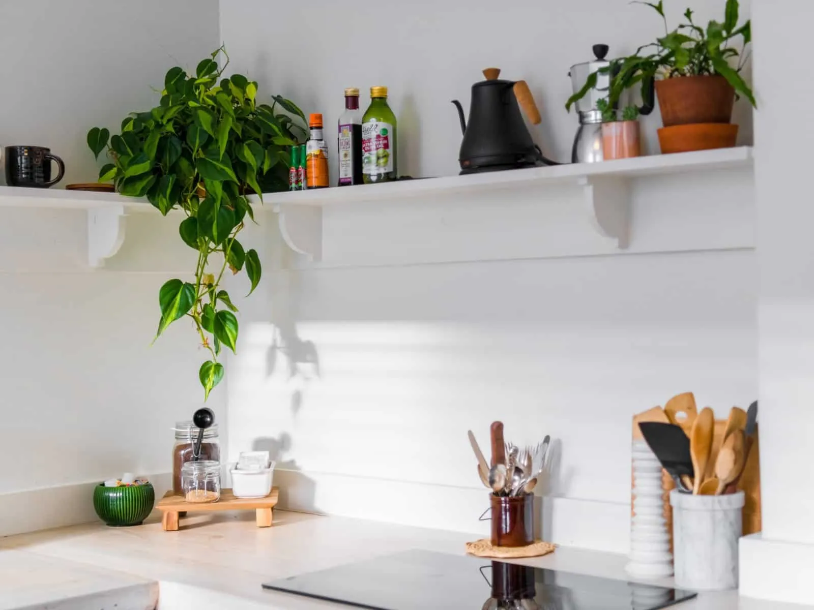 Kitchen plants