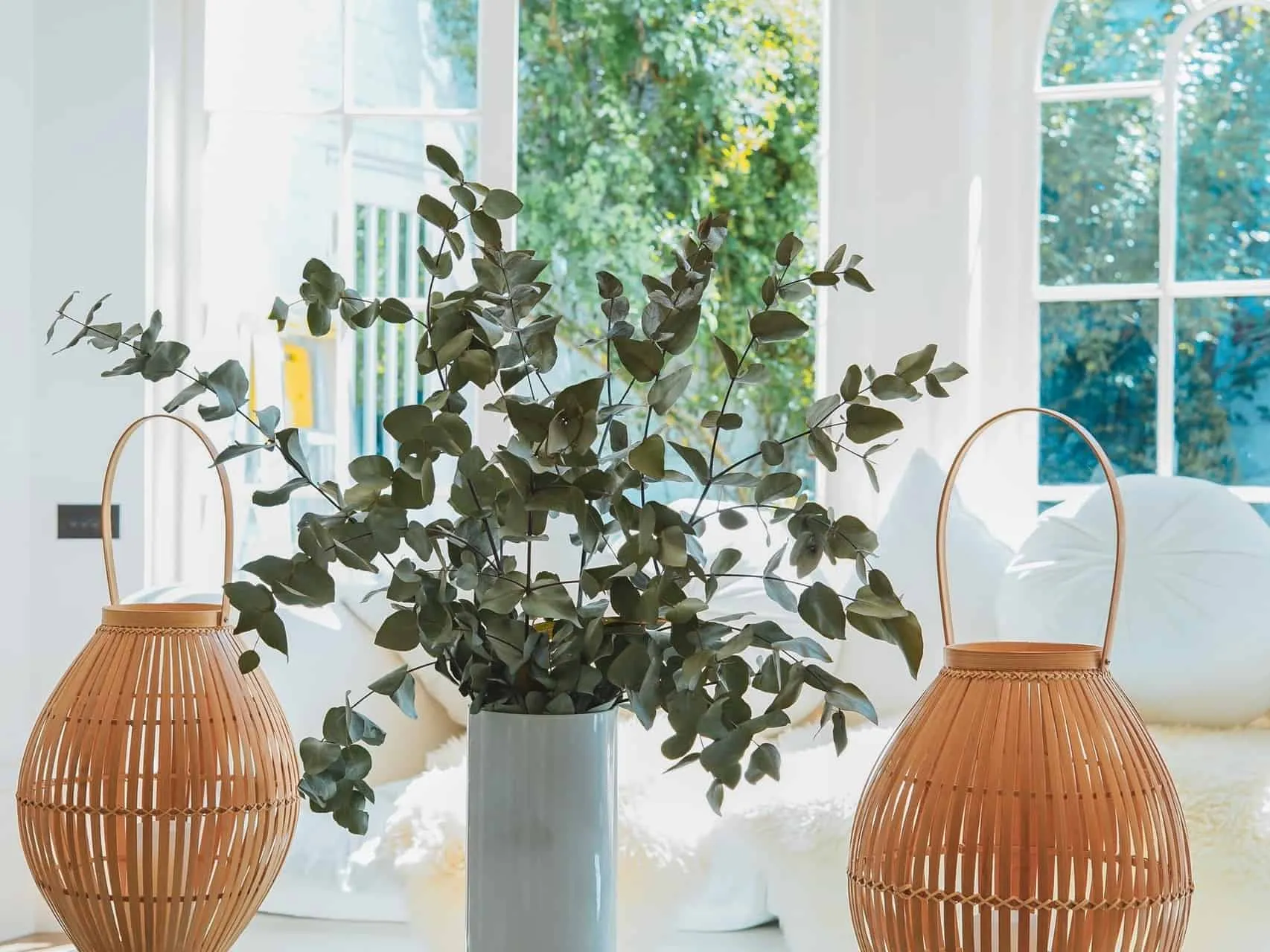 A leafy plant and pair of wicker baskets providing a focal point