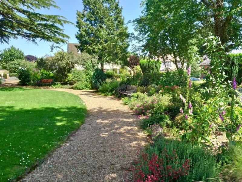 Garden with curved path