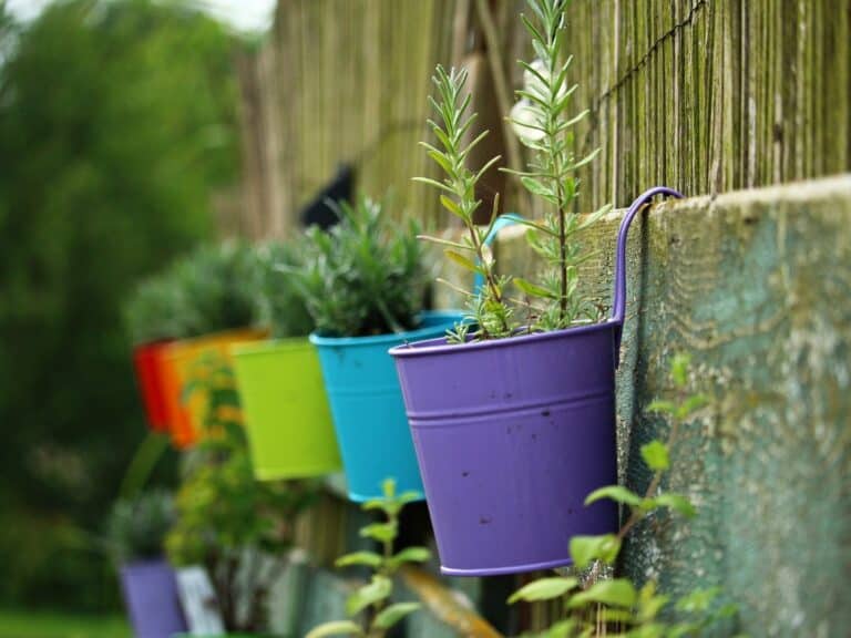 Colourful plant pots