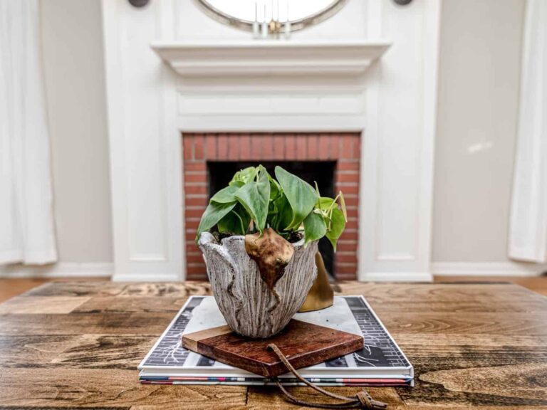 Styled home with plant centrepiece